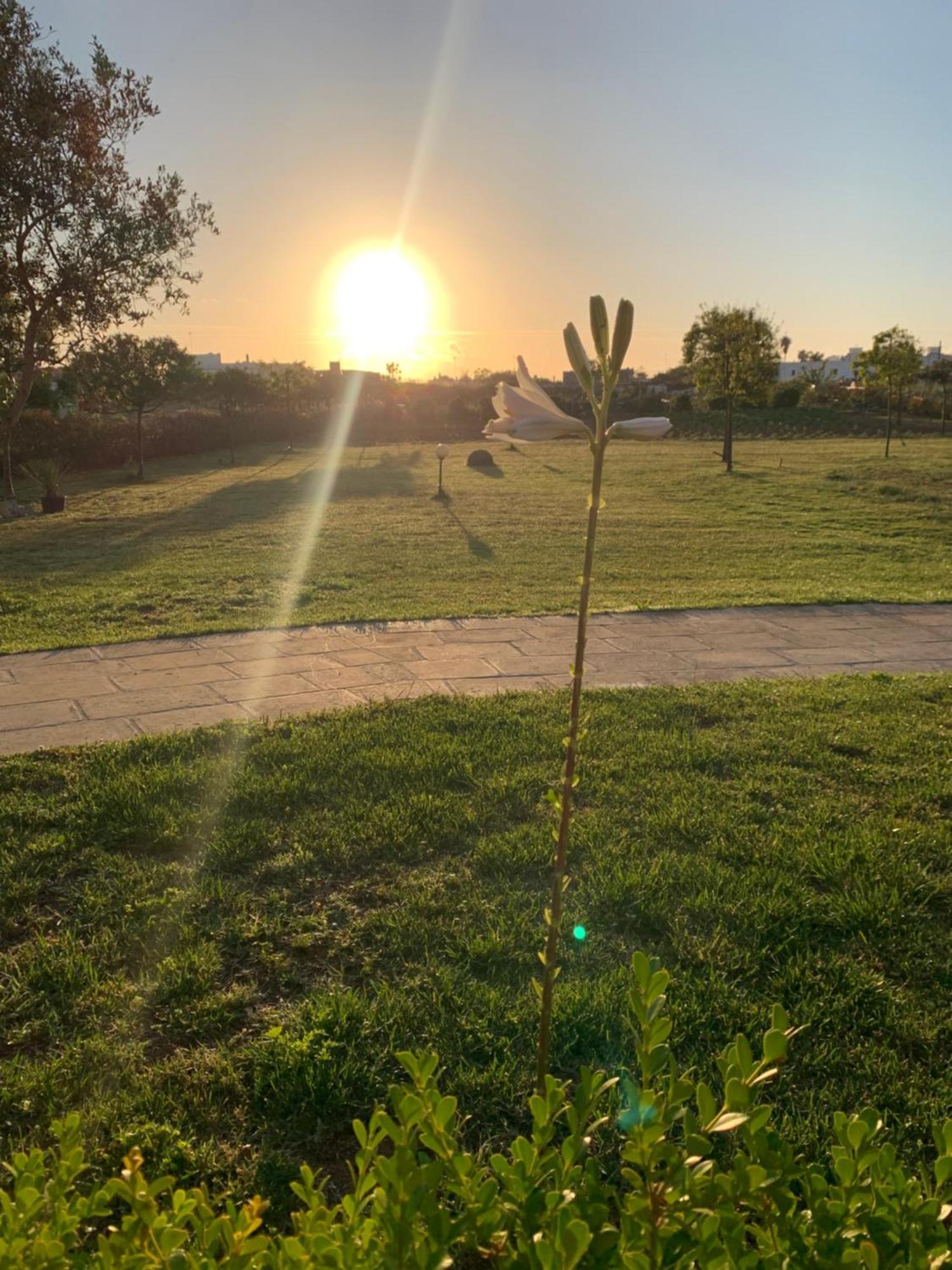 Masseria Capece Bed & Breakfast Uggiano La Chiesa Zewnętrze zdjęcie