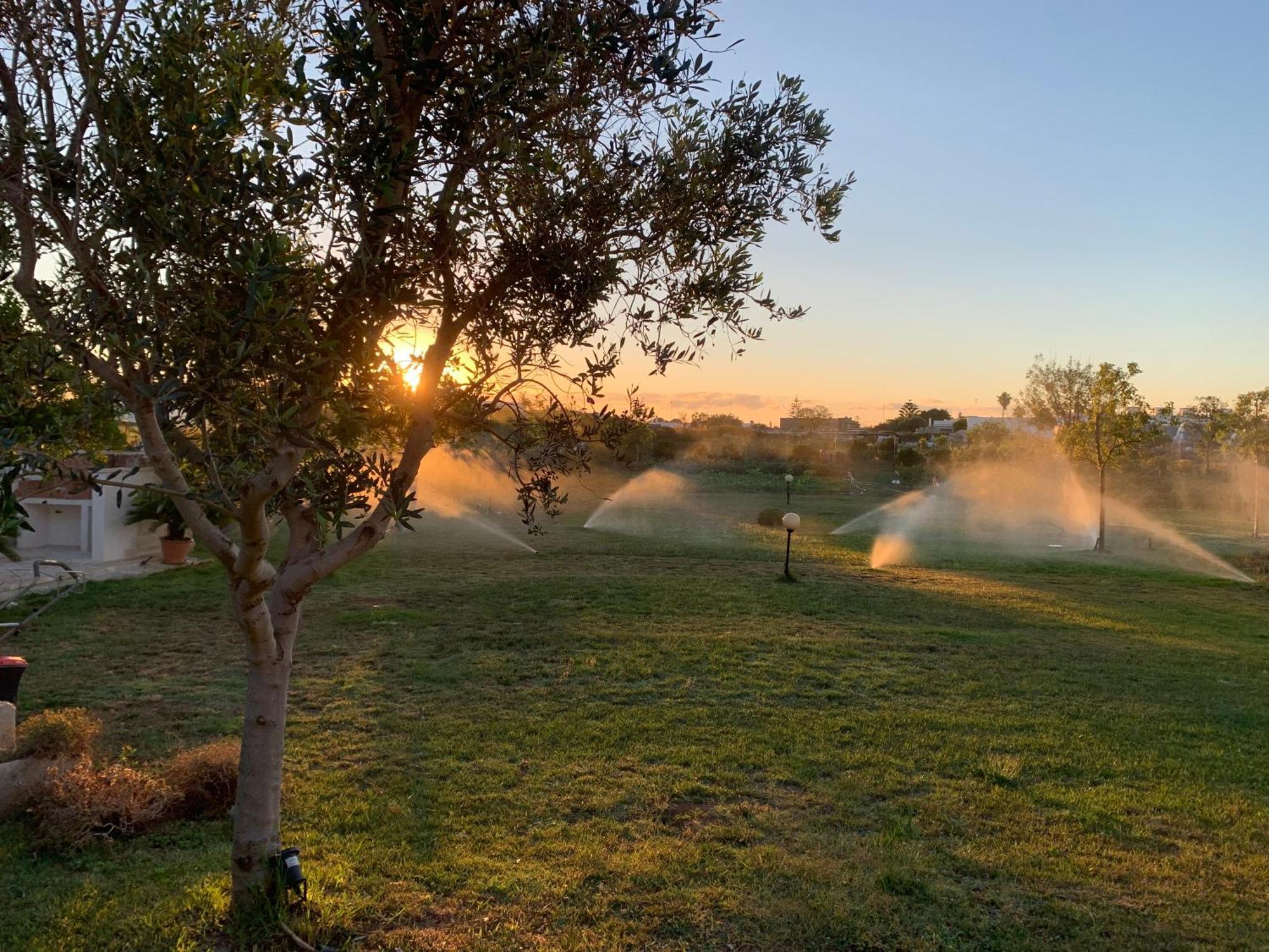 Masseria Capece Bed & Breakfast Uggiano La Chiesa Zewnętrze zdjęcie